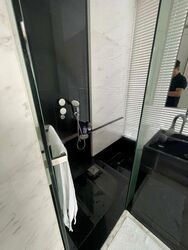 The Trizon (D10), Condominium #576851341